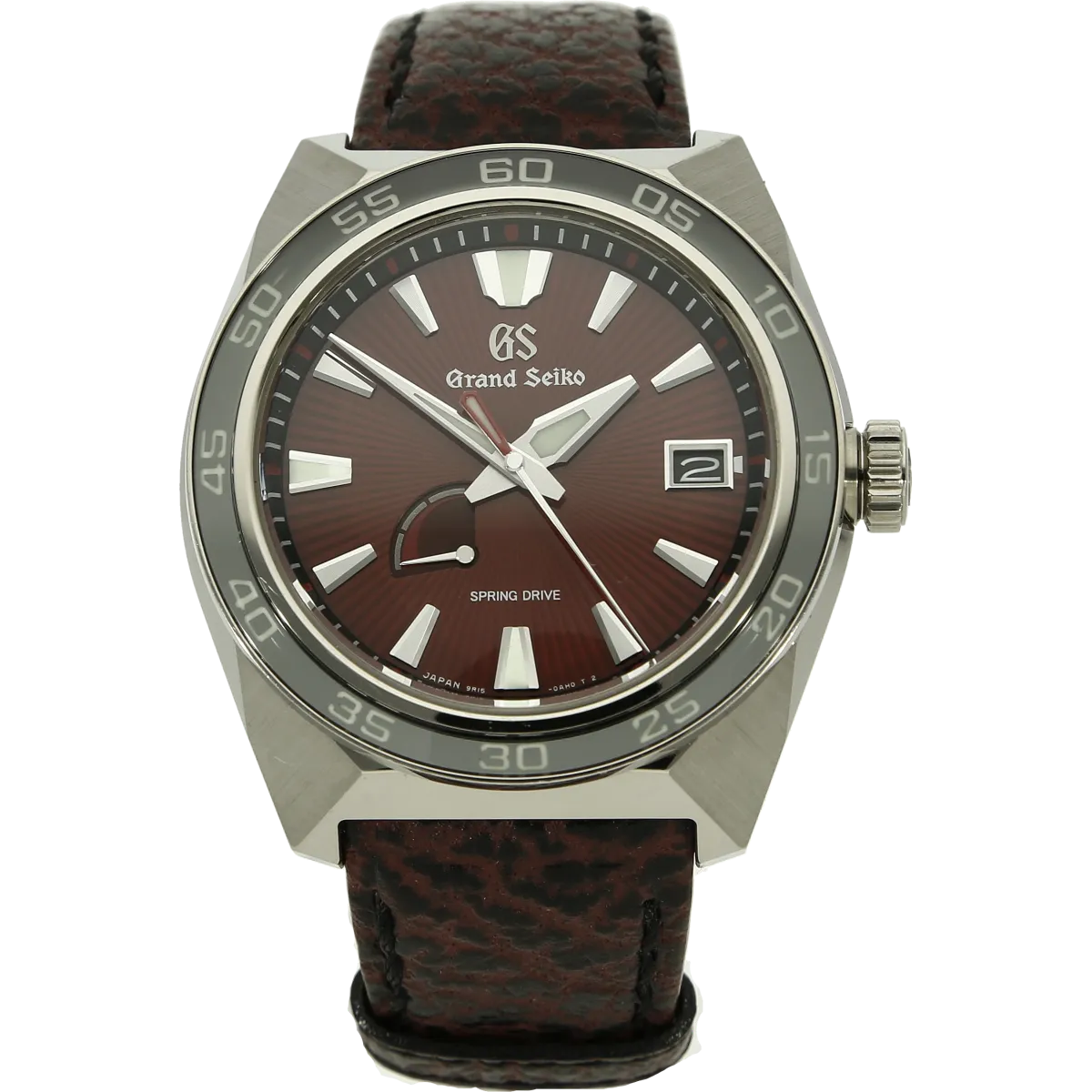 Grand Seiko Godzilla SBGA405 stehend