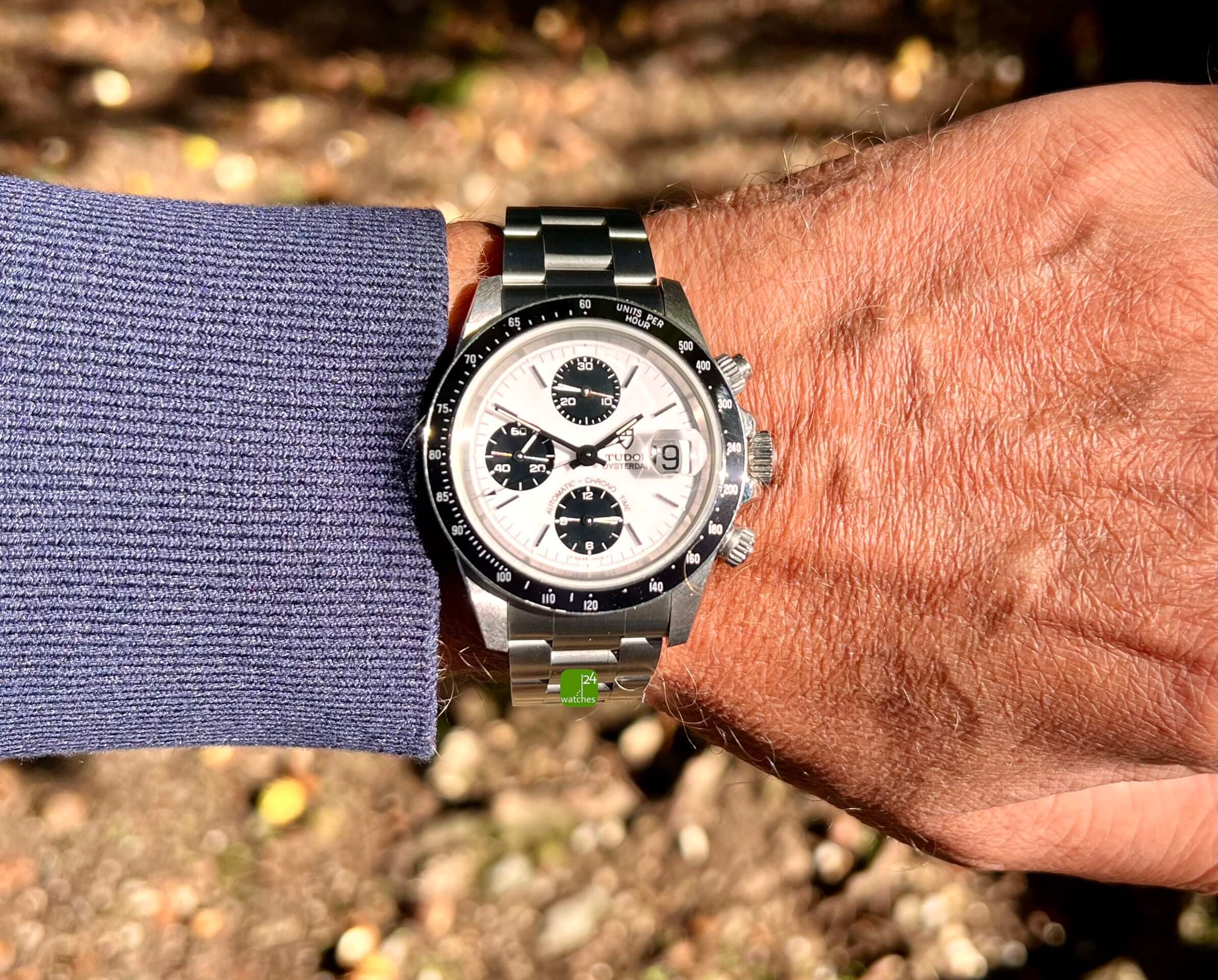 Tudor Oysterdate Panda Emaille am Arm