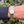 Load image into Gallery viewer, Rolex Oyster Perpetual 25 am Arm