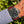 Load image into Gallery viewer, Panerai Luminor Marina 44 am Arm