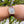 Laden Sie das Bild in den Galerie-Viewer, Rolex Date Just 36mm Gold Bahrain am Handgelenk