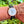 Charger l'image dans la galerie, chronoswiss-chronoscope-ch-1521-r-am-arm