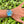 Load image into Gallery viewer, iwc-big-pilot-500912-am-arm