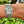 Load image into Gallery viewer, patek-philippe-twenty-4-4910-am-arm