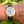 Load image into Gallery viewer, chronoswiss-klassik-ch-7441-am-arm
