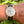 Charger l'image dans la galerie, chronoswiss-klassik-ch-7441-am-arm