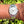 Laden Sie das Bild in den Galerie-Viewer, rolex-oysterdate-precision-6694-am-arm