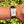 Charger l'image dans la galerie, lange-soehne-cabaret-moon-118.032-am-arm