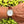 Laden Sie das Bild in den Galerie-Viewer, patek-calatrava-3919j-am-arm
