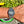 Charger l'image dans la galerie, omega-speedmaster-186.0004-am-arm