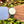 Load image into Gallery viewer, iwc-portugieser-rattrapante-3712-am-arm
