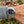 Laden Sie das Bild in den Galerie-Viewer, rolex-submariner-126610-am-arm