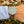 Load image into Gallery viewer, speake-marin-20003-51-am-arm