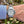 Laden Sie das Bild in den Galerie-Viewer, cartier-pasha-seatimer-2790-am-arm
