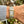 Laden Sie das Bild in den Galerie-Viewer, jaeger-le-coultre-reverso-250.5.86-am-arm