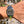 Laden Sie das Bild in den Galerie-Viewer, die-rolex-air-king116900-am-arm
