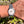 Charger l'image dans la galerie, jaeger le coultre Uhr master am Arm