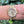 Laden Sie das Bild in den Galerie-Viewer, rolex lady datejust 28 mm gold am Arm