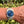 Charger l'image dans la galerie, rolex oyster perpetual 166000 am Arm