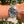 Charger l'image dans la galerie, rolex Submariner 16610 am Arm
