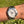 Charger l'image dans la galerie, Rolex Daytona Stahl 116520 am Arm
