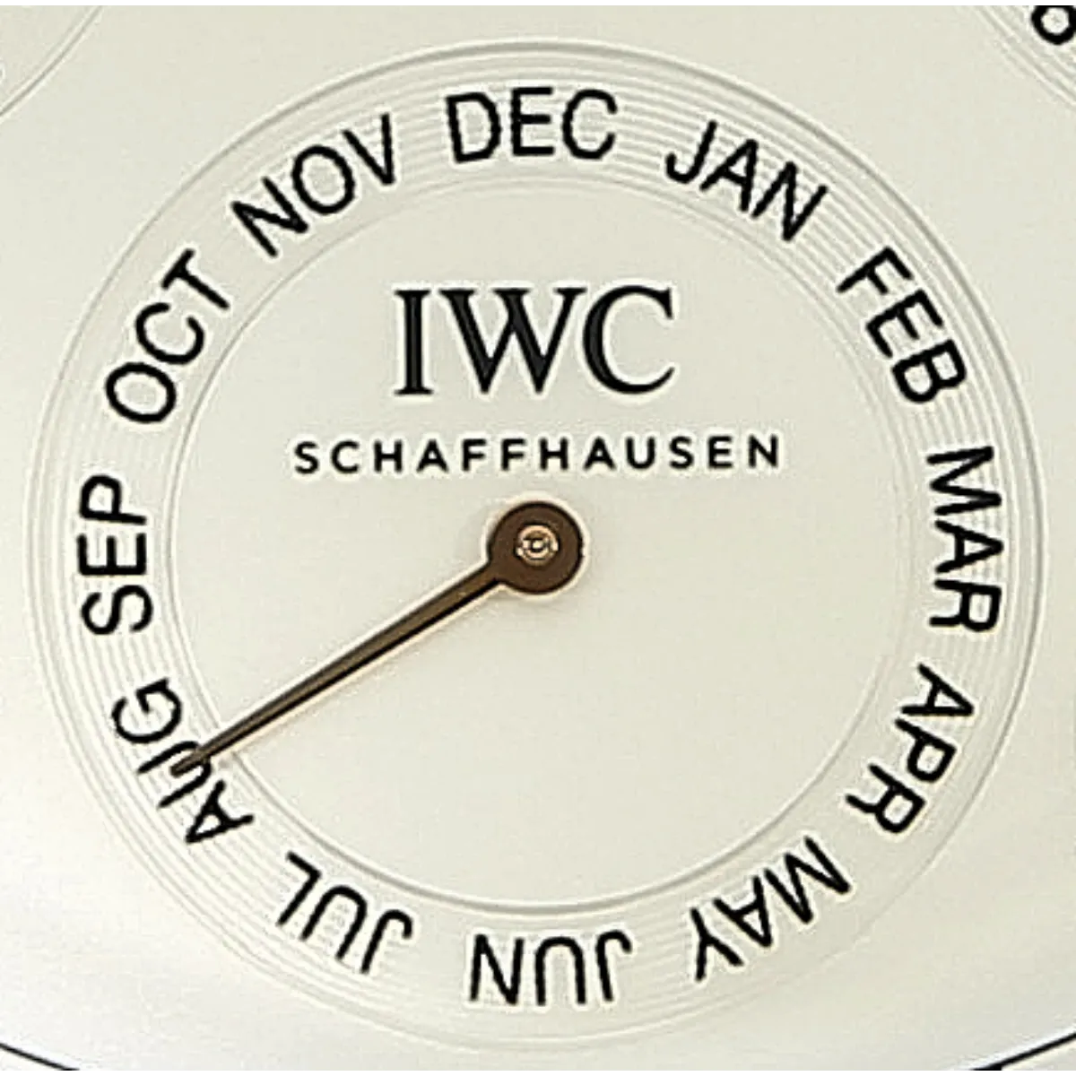 IWC Portugieser Perpetual Calendar IW503701 Zifferblatt detail Monat