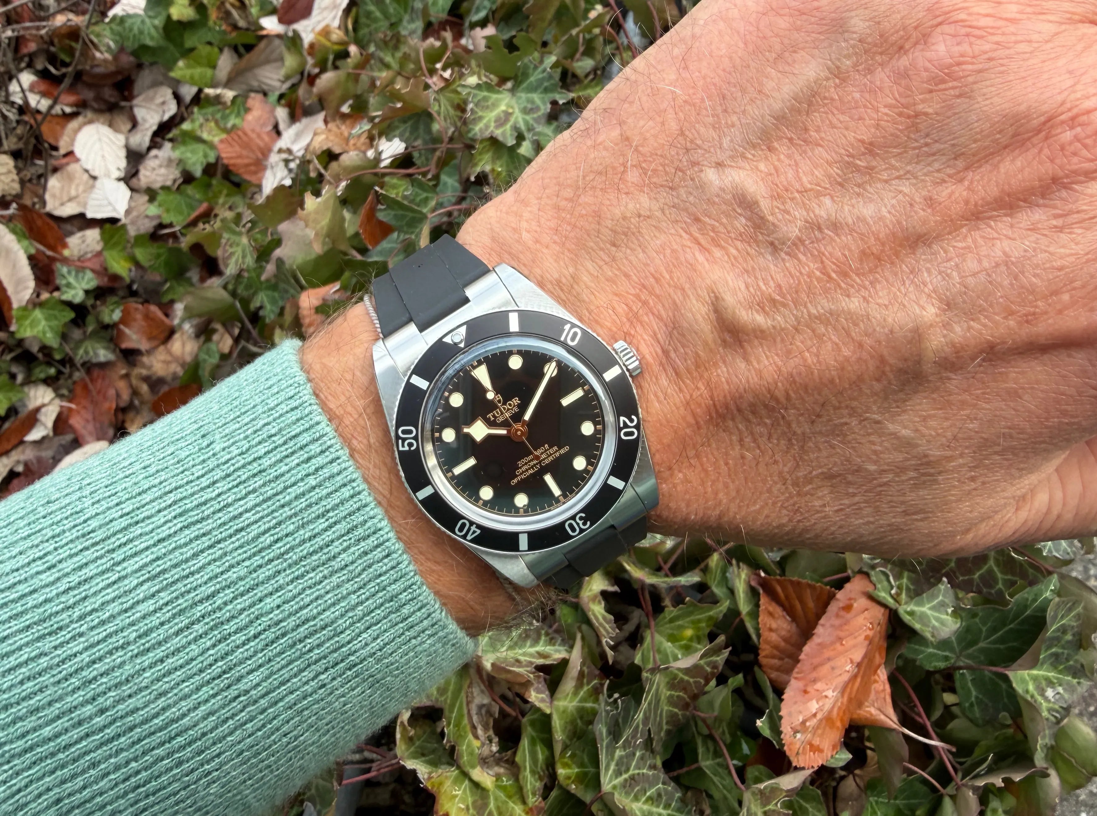 Tudor 54 79000N neu am Arm