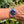 Charger l'image dans la galerie, rolex gmt master 16700 am Arm