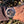 Load image into Gallery viewer, Breitling Navitimer Panamerica am Arm