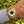 Load image into Gallery viewer, Cartier Pasha Golf 30010 am Arm