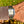 Load image into Gallery viewer, Cartier Santos medium am Arm
