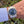 Laden Sie das Bild in den Galerie-Viewer, Rolex Datejust 116300 am Arm