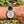 Load image into Gallery viewer, iwc-mark-xv-uhr-am-arm
