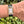 Charger l'image dans la galerie, jaeger reverso 250.5.86 am Arm