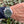 Load image into Gallery viewer, Omega Seamaster gruen am Arm