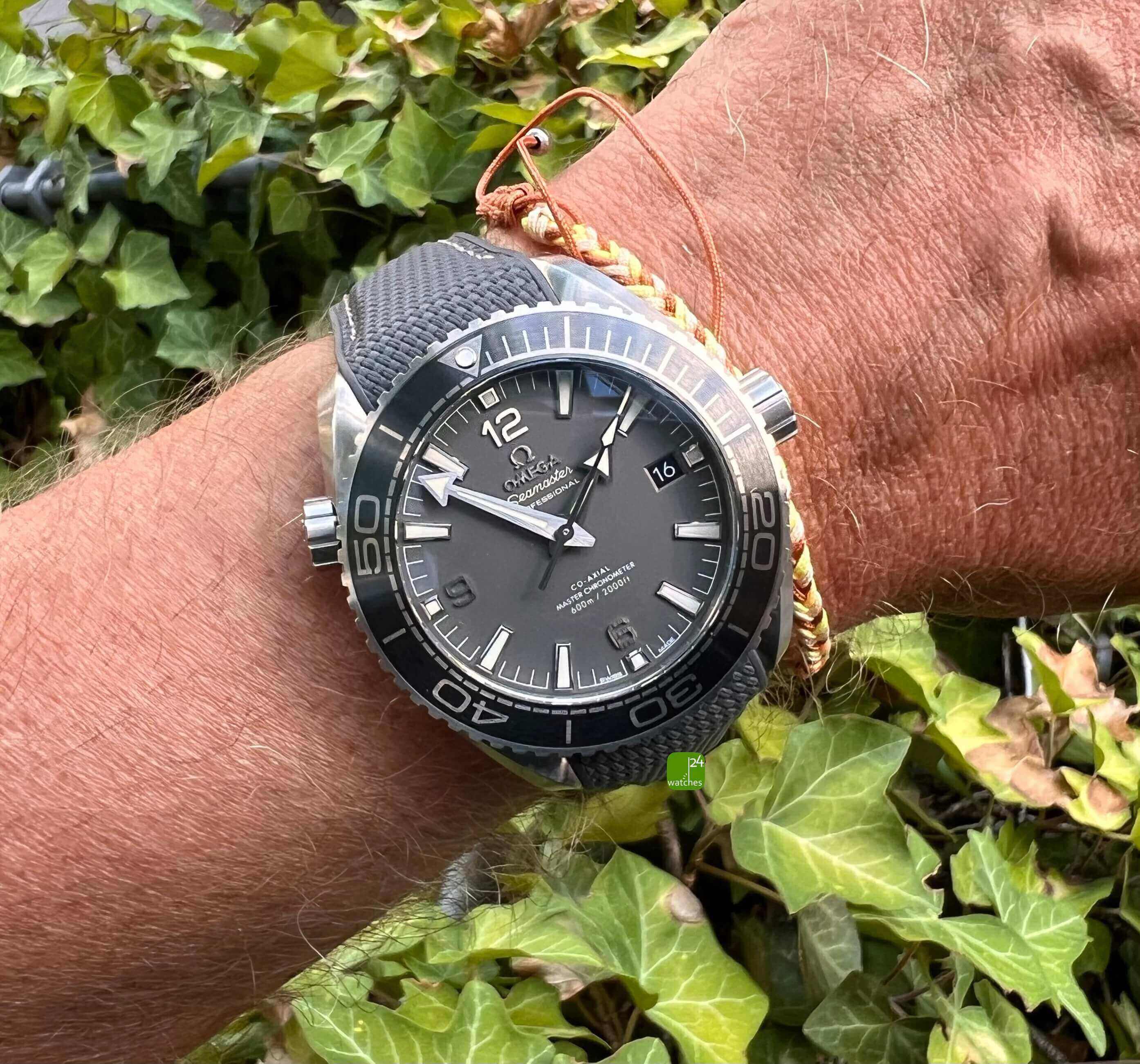 Seamaster Planet Ocean 43,5 mm am Arm