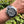 Laden Sie das Bild in den Galerie-Viewer, Seamaster Planet Ocean 43,5 mm am Arm