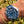 Laden Sie das Bild in den Galerie-Viewer, Omega Seamaster Prof 300 blue am Arm