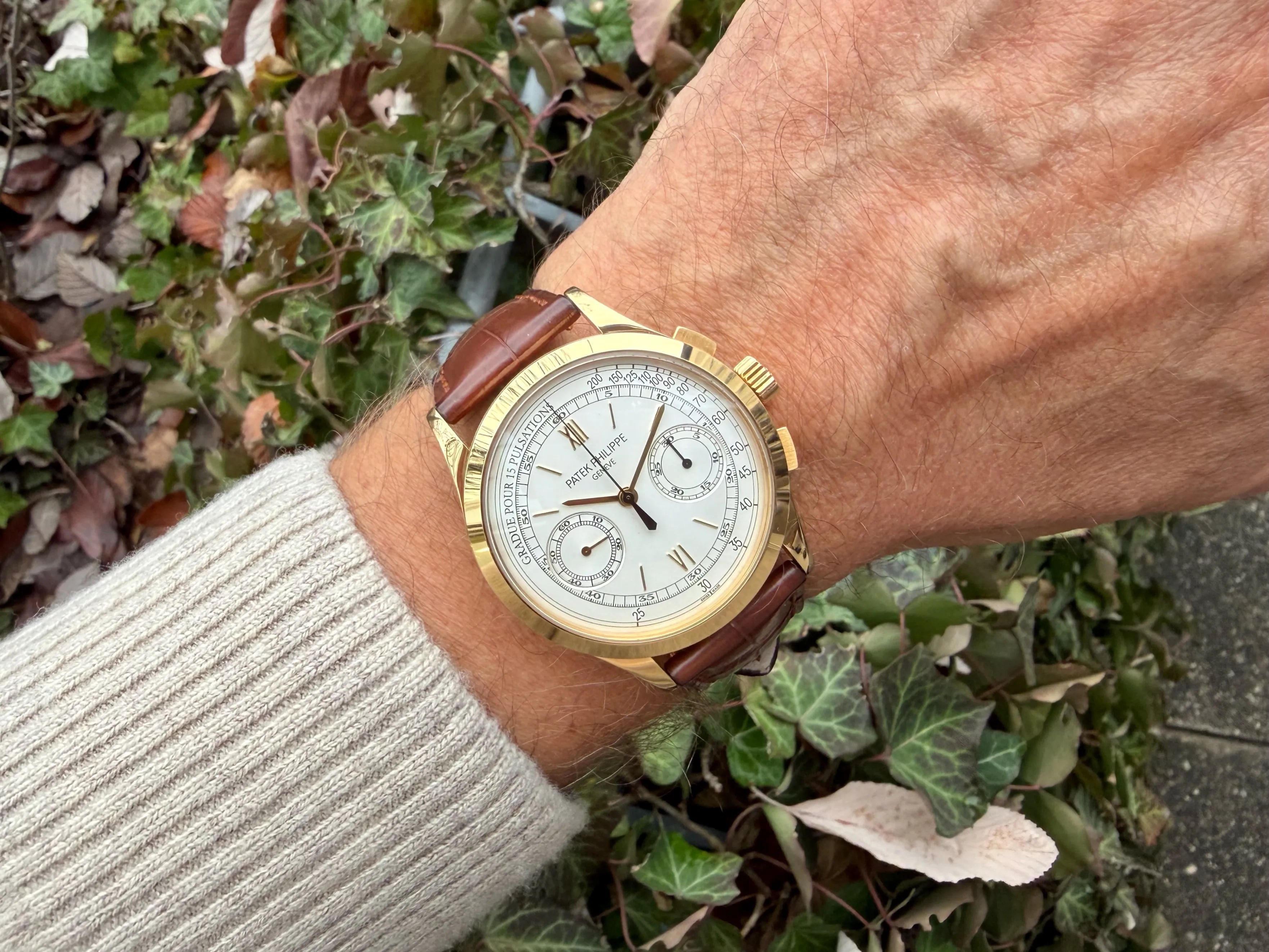 Patek Philippe Chrono 5170J am Arm