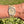 Load image into Gallery viewer, Rolex Cellini Octagon 4370 am Arm