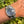 Load image into Gallery viewer, Rolex Datejust 36 Computer Dial am Arm