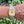 Laden Sie das Bild in den Galerie-Viewer, rolex datejust 16013 am Arm