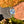Load image into Gallery viewer, Rolex Datejust 36 16233 blau am Arm
