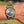 Load image into Gallery viewer, Rolex Datejust gebraucht 41 stahl gold jubilee am arm