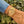 Load image into Gallery viewer, gebrauchte Rolex Day Date Borke 18248 am Arm