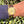 Load image into Gallery viewer, Rolex Day Date gebraucht Buckley 1803 am Arm