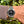 Charger l'image dans la galerie, rolex explorer gebraucht 124270 am arm