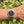 Charger l'image dans la galerie, rolex Exlorer 1 214270 am arm