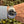 Load image into Gallery viewer, Rolex GMT Master Batman am Arm