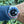 Laden Sie das Bild in den Galerie-Viewer, Rolex GMT Master 16700 am Arm